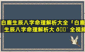 白鹿生辰八字命理解析大全「白鹿生辰八字命理解析大 🐴 全视频」